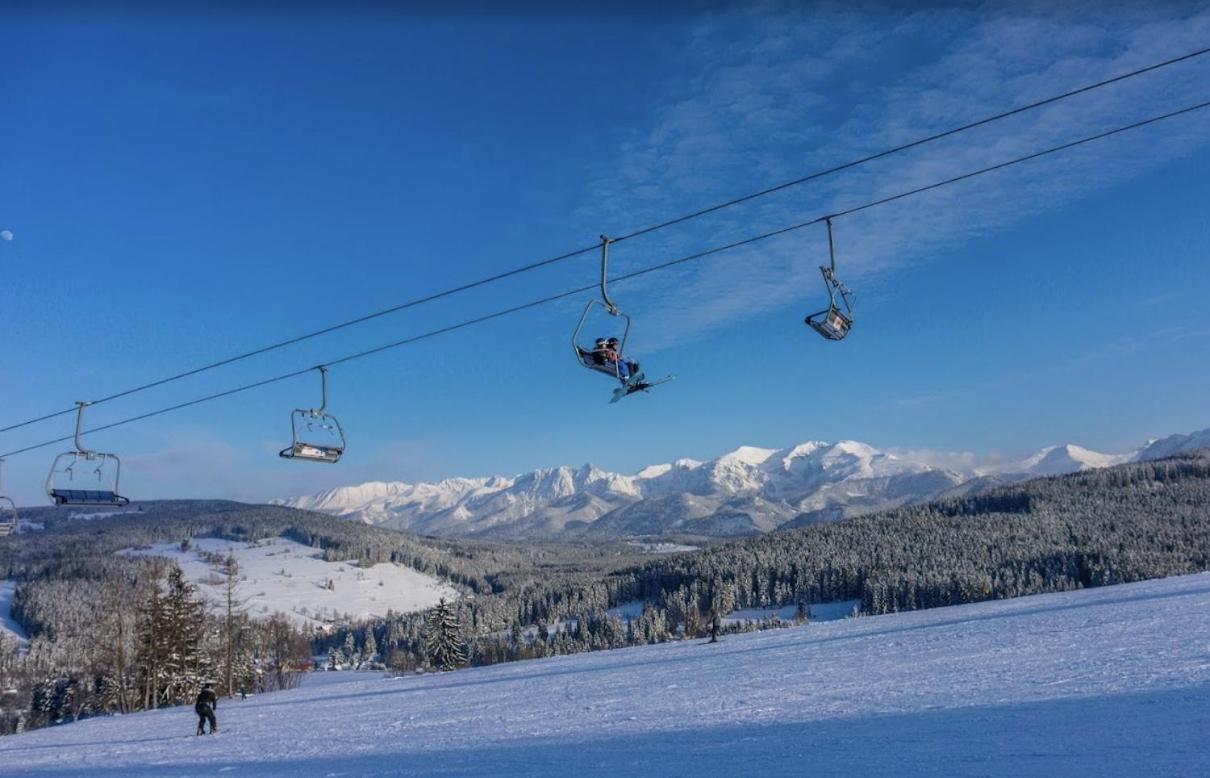 Witów Visitzakopane - Willa Karina المظهر الخارجي الصورة